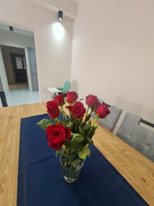 Mias Luxury Apartment Риека Экстерьер фото